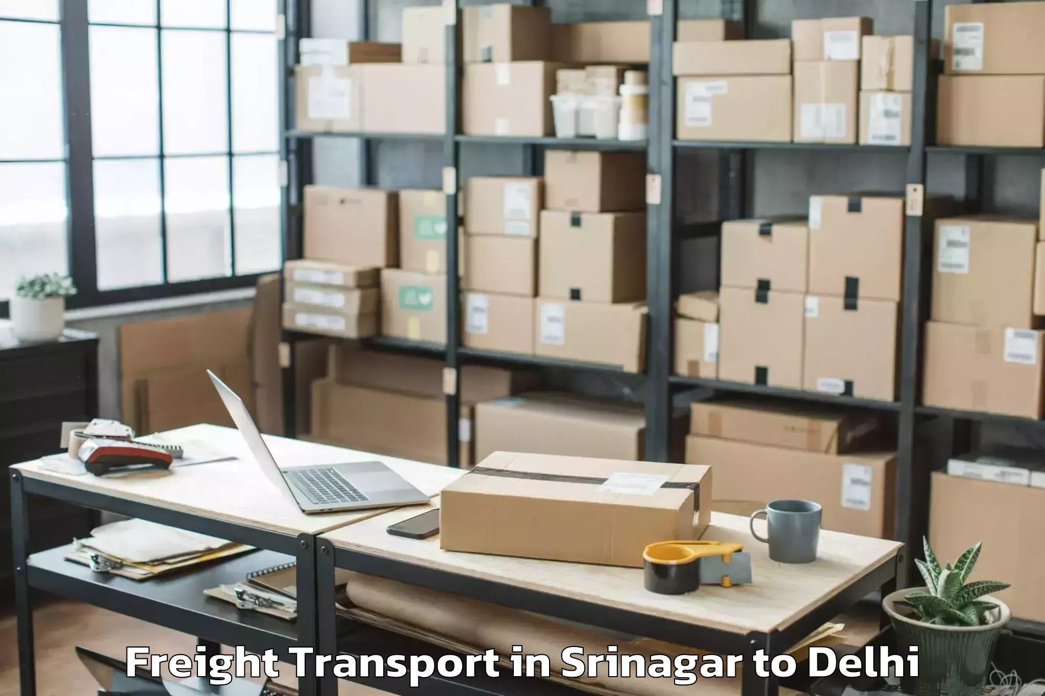 Top Srinagar to Aggarwal City Mall Pitampura Freight Transport Available